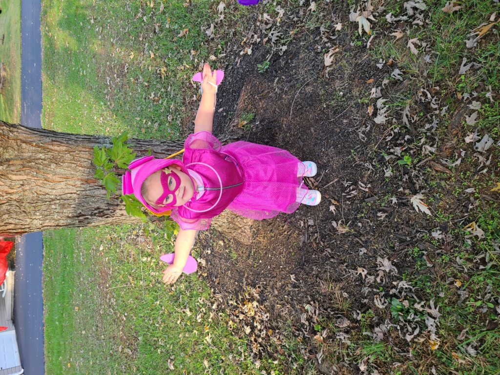Skye of Paw Patrol 